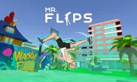 Play Mr Flip