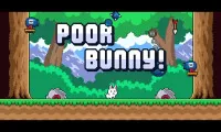 Play Poor Bunny