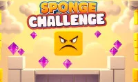 Sponge Challenge